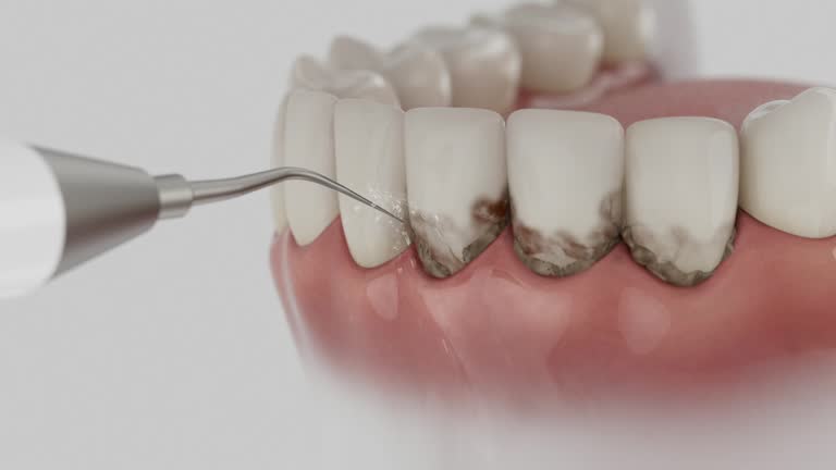Reliable Dental contractor in Groveton, VA by Dentist Open Now